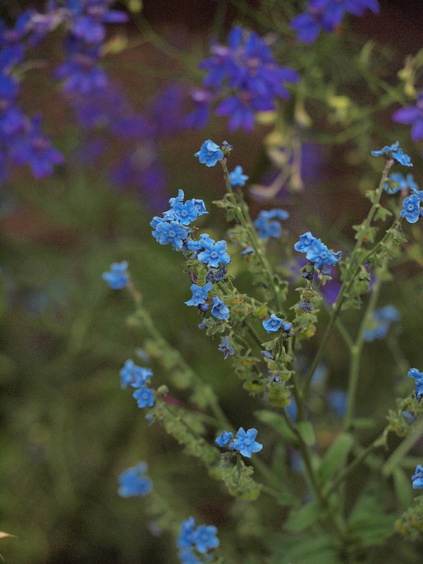 P5287828