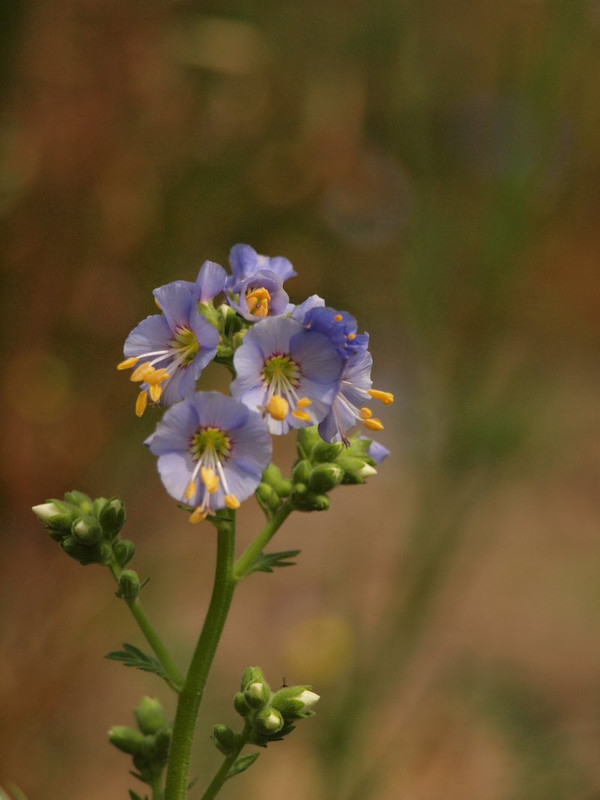 P5318201