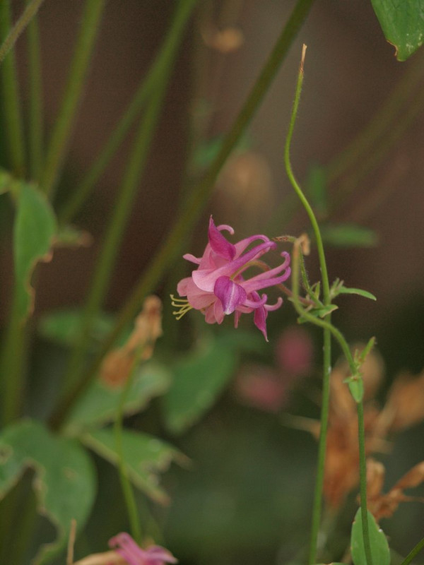 P5318206