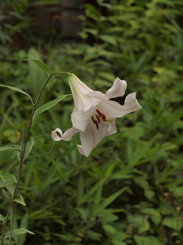 P6088418