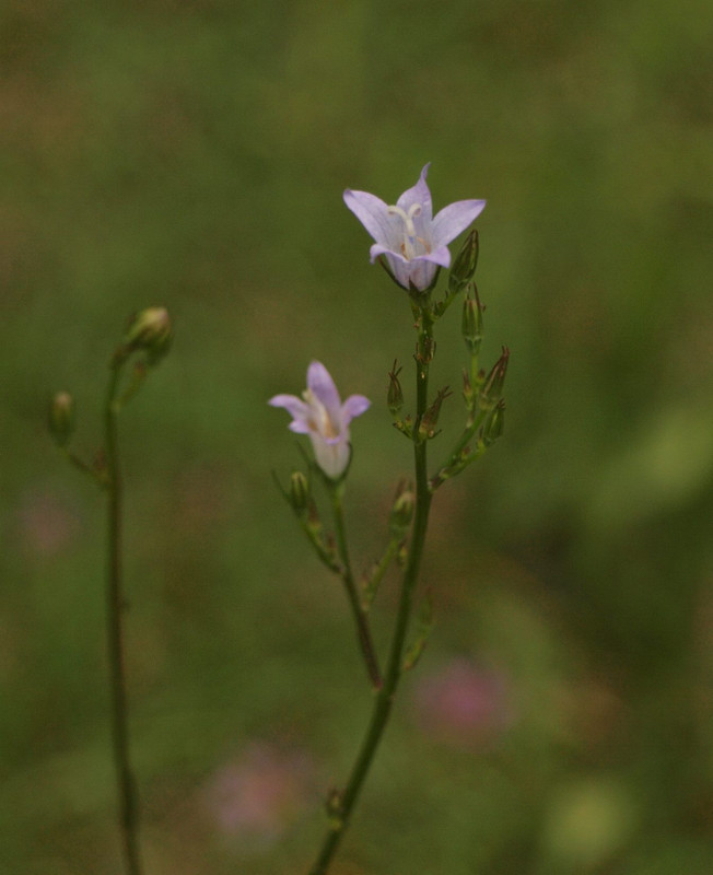 P6088434