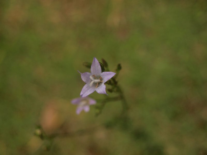 P6088450