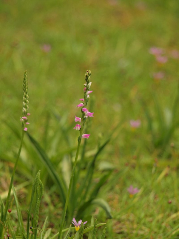 P6088437