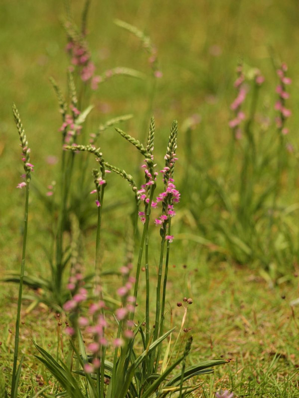 P6128589