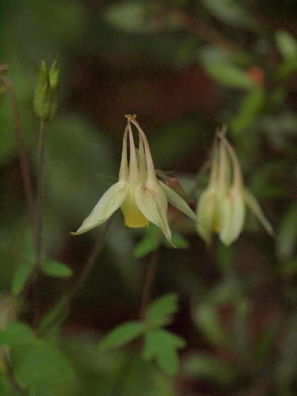 P6128596