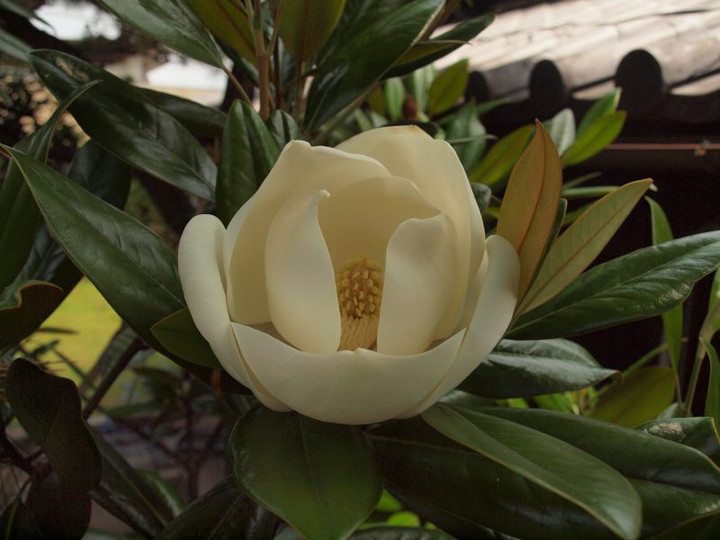 P6158986