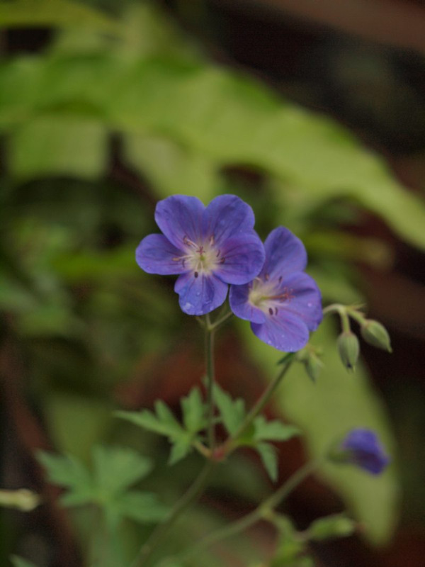 P6168998