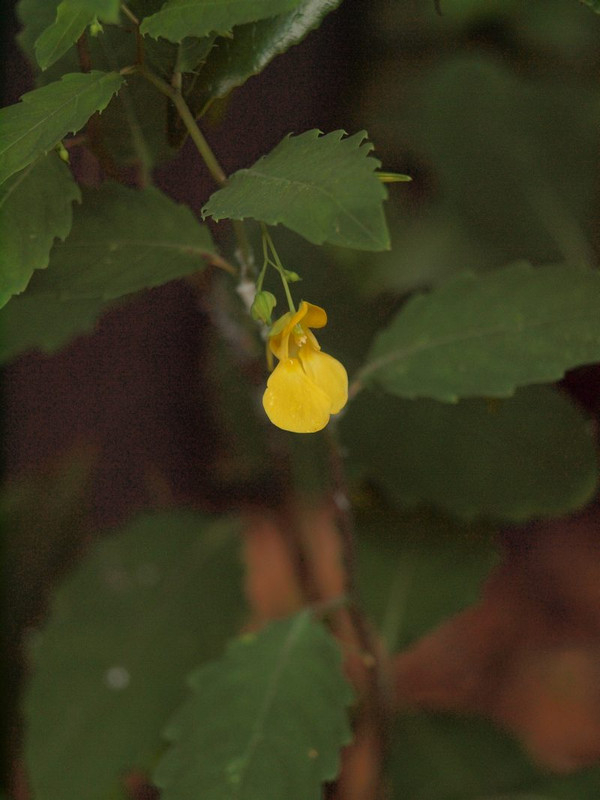 P6169015