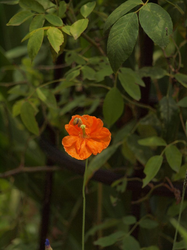 P6179091