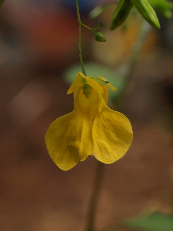 P6179109