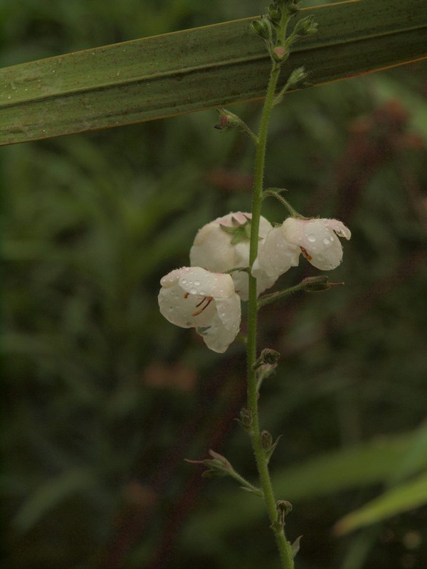P6189137