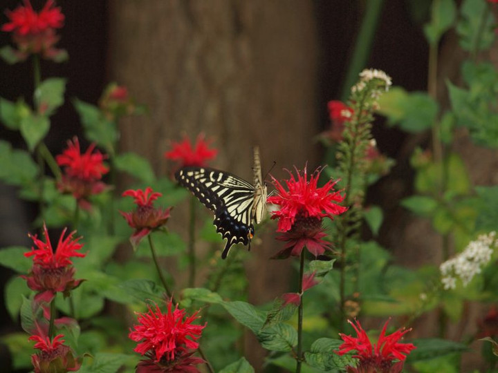 P6189141