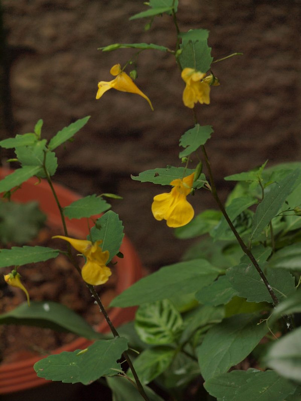 P6229221