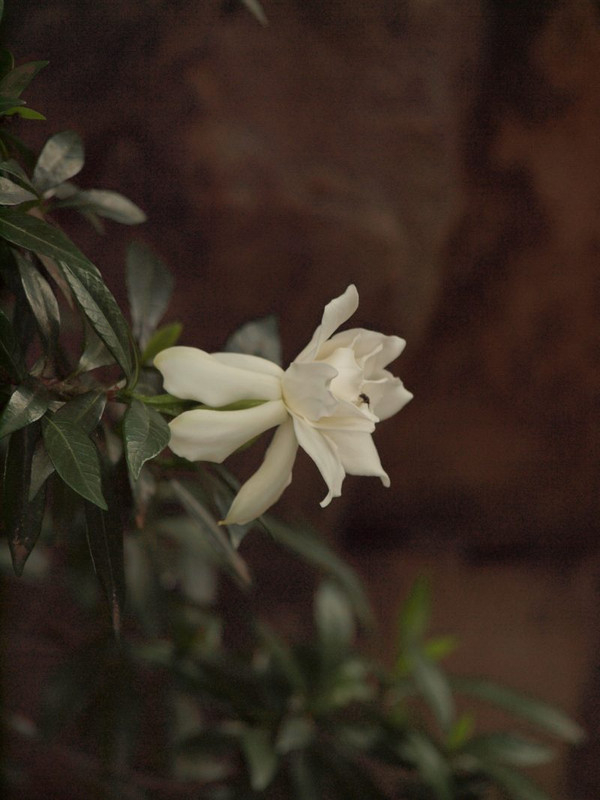 P6229227