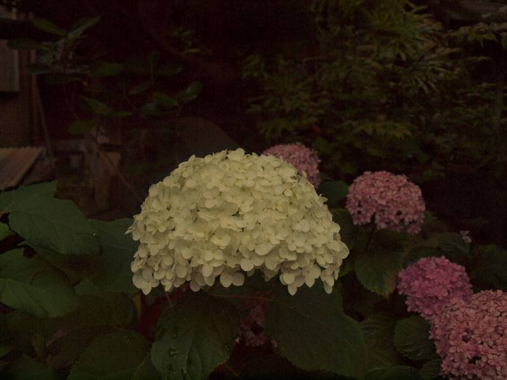 P6259311