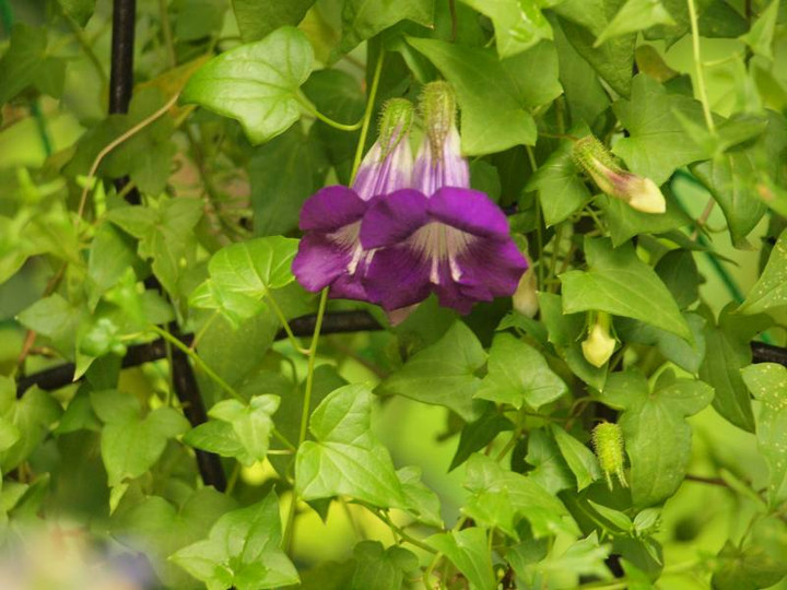 P6259319
