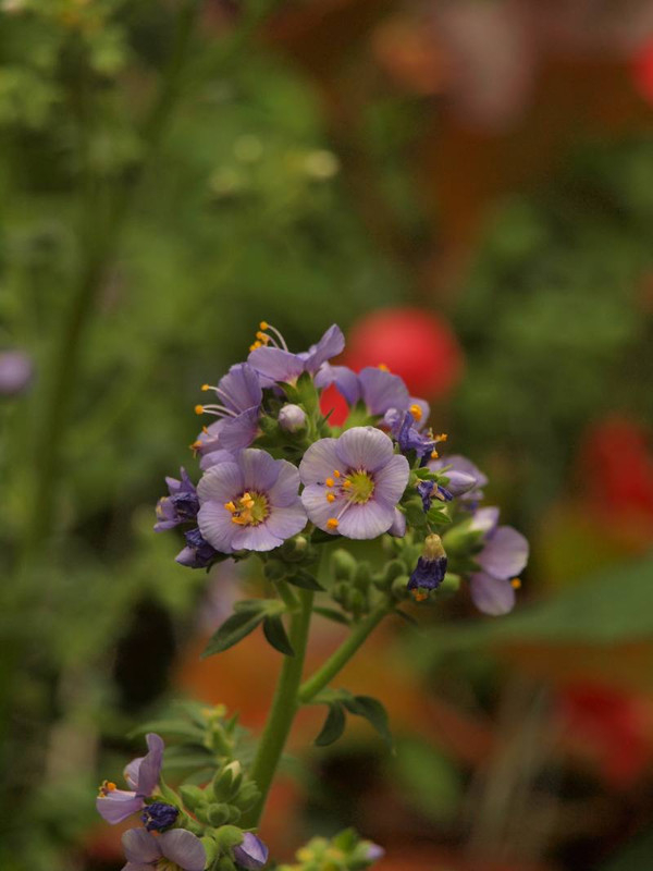 P6259339