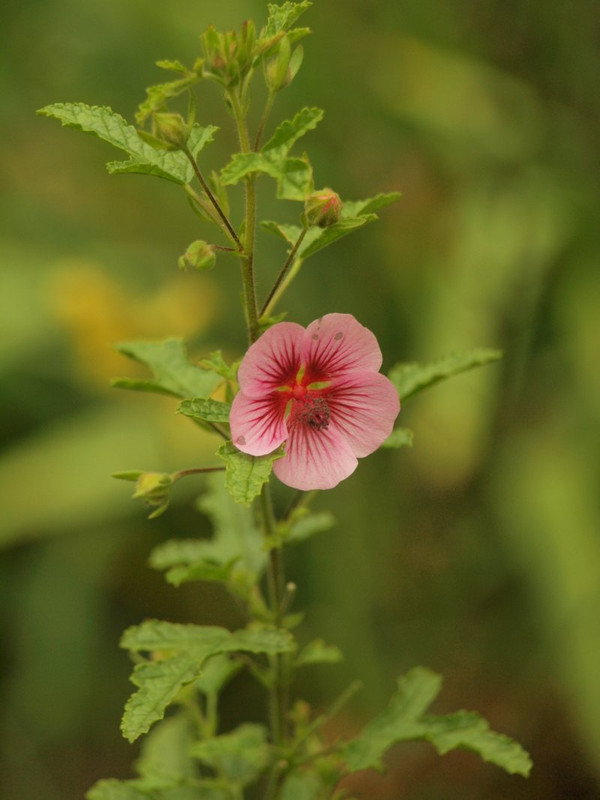 P6279344