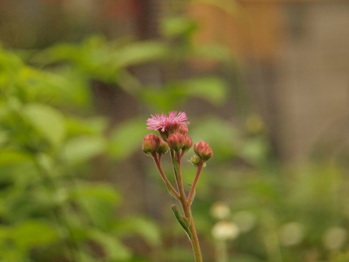 P6279347