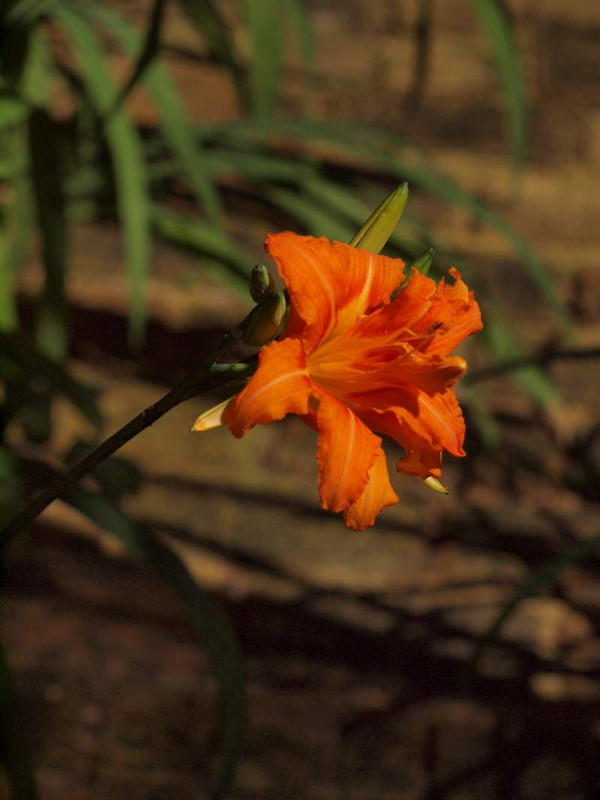 P6299400