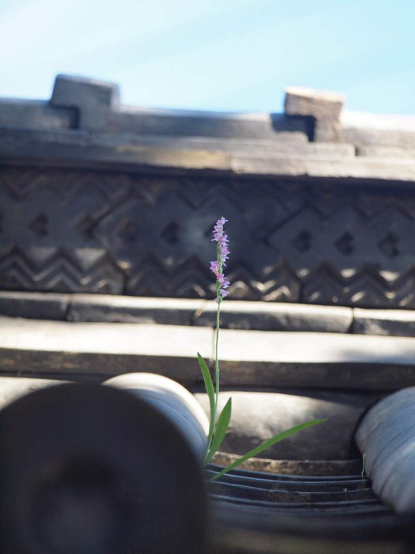 P6299411