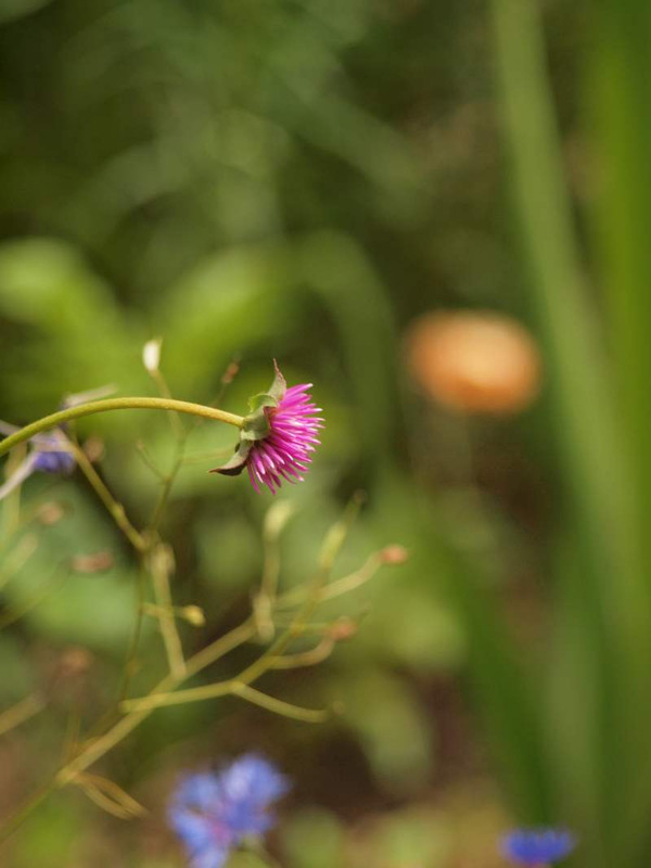 P6299433