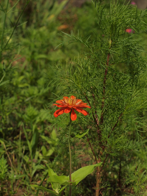 P6299438