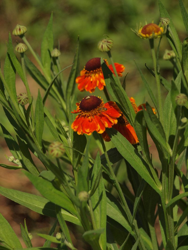 P6299440
