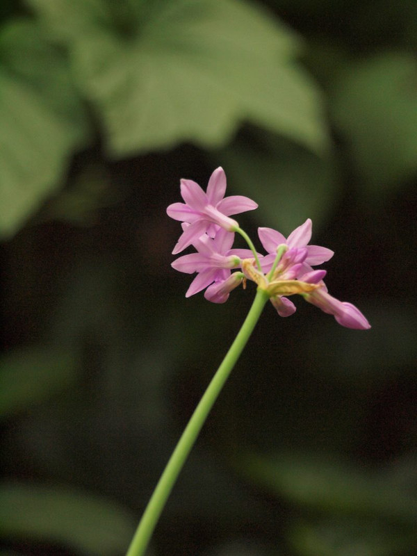 P6309458