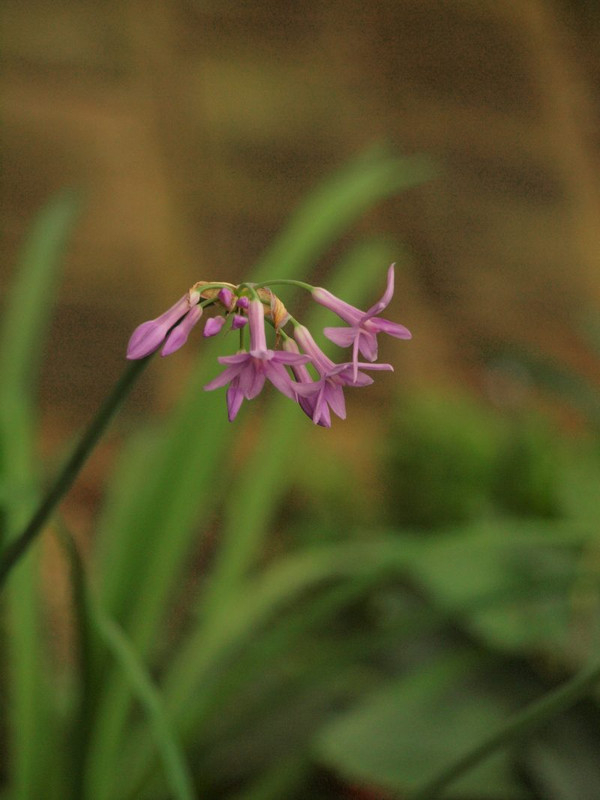 P6309459