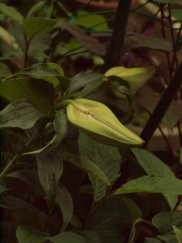P6309460