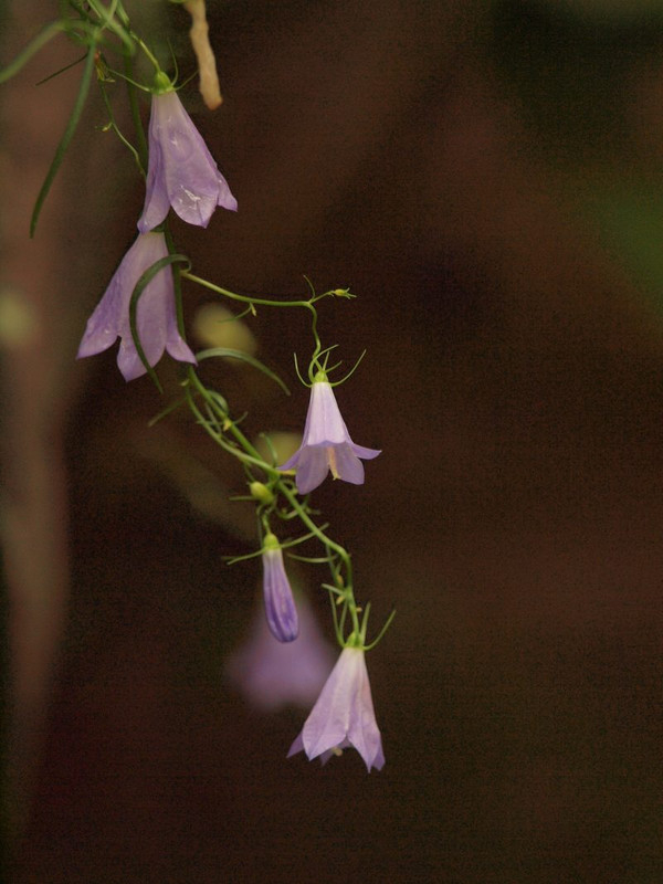 P7019469
