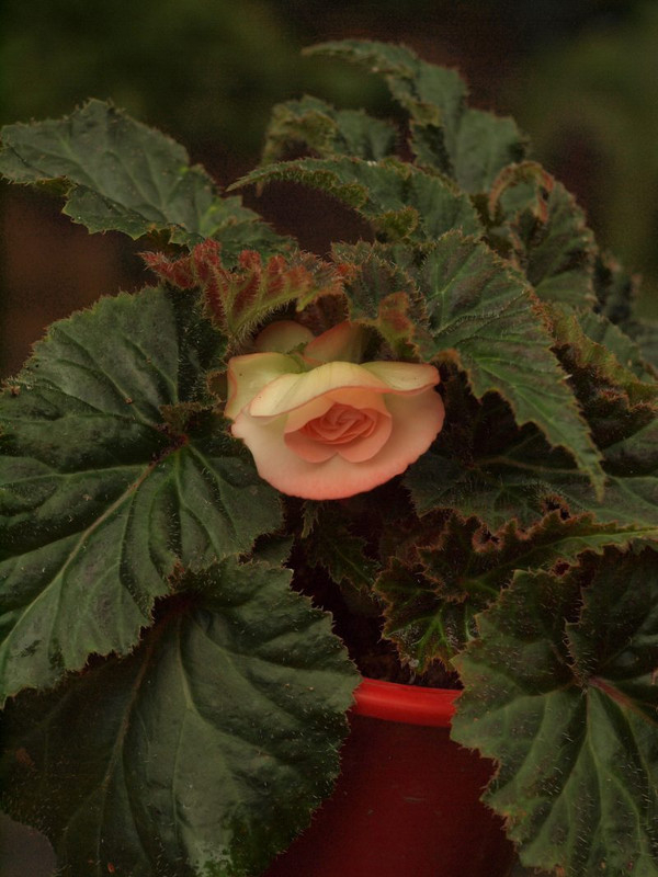 P7019471