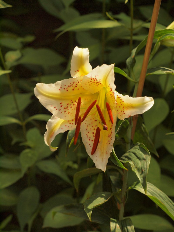 P7029498