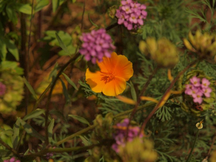 P7039541