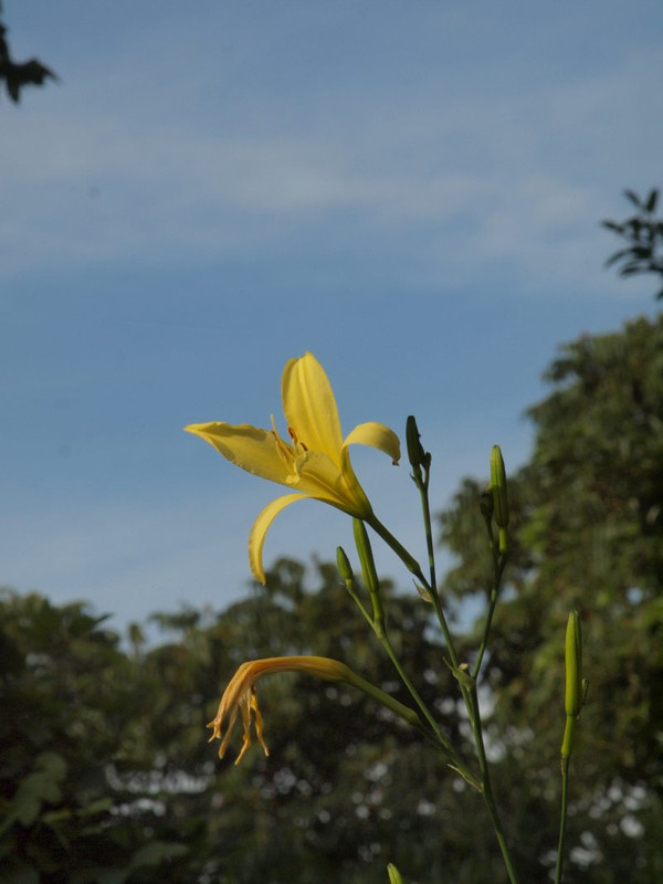 P7109812