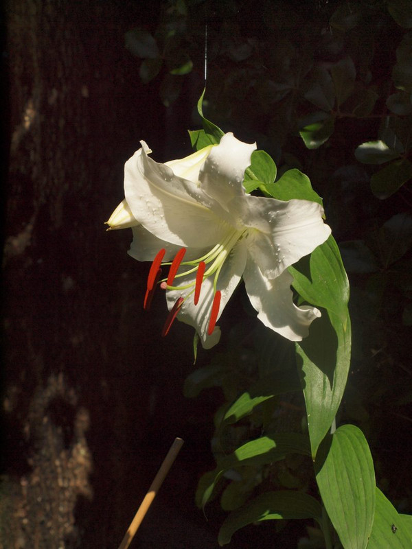 P7140020