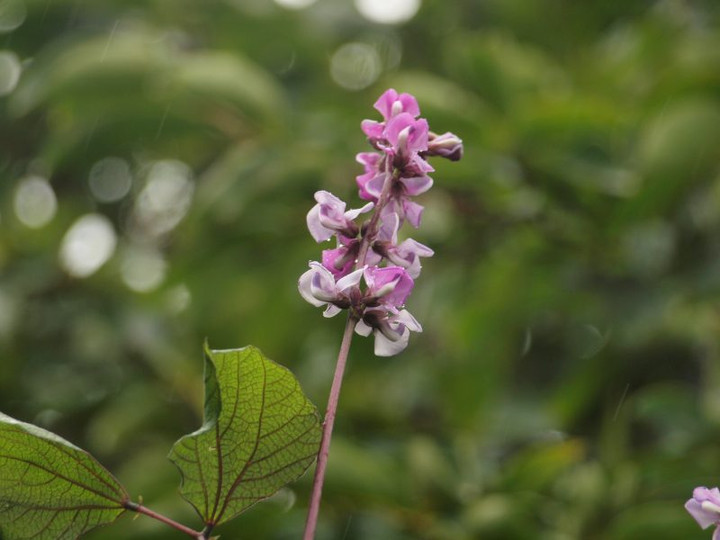 P7160096