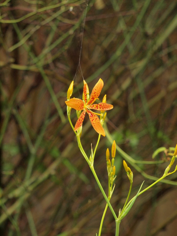 P7160098