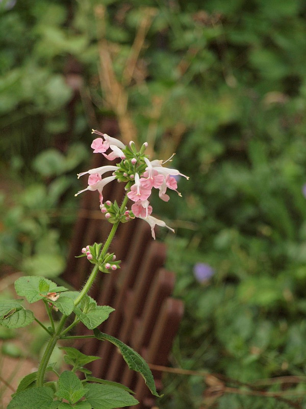 P7200400