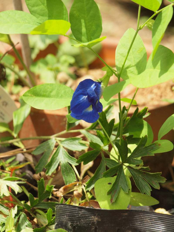 P7210414