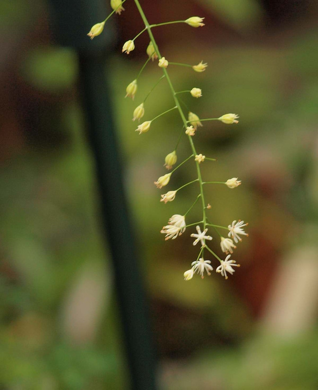 P7210427