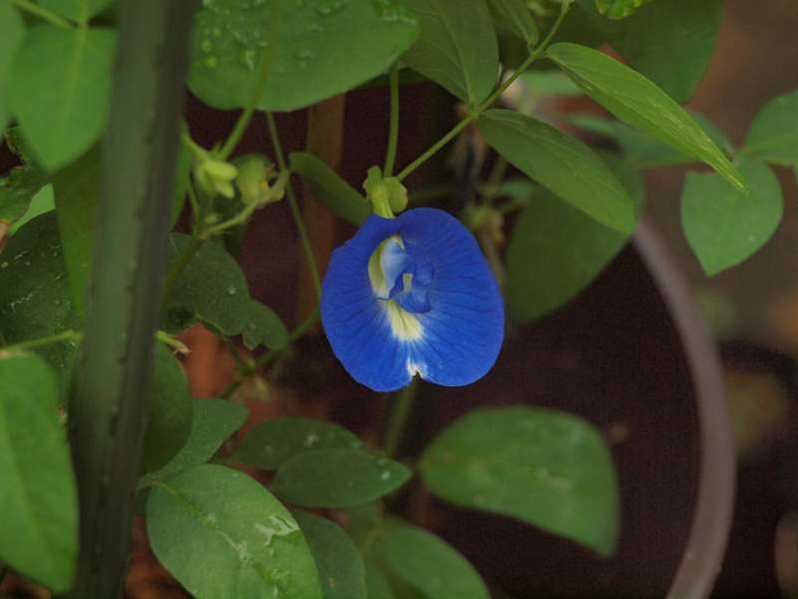 P7230458