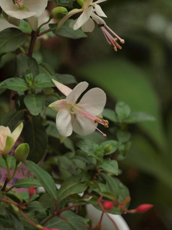 P7230483