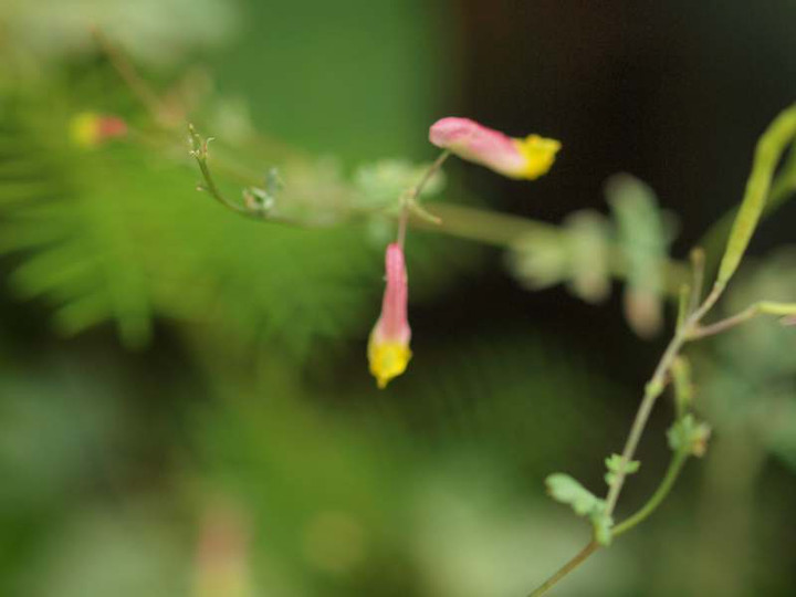 P7230494