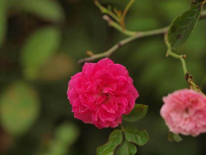 P7230495