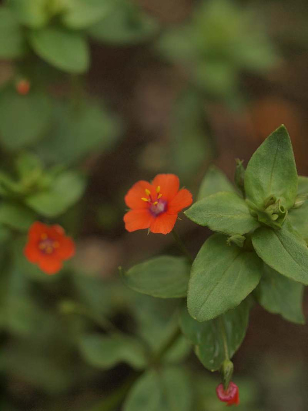 P7230496