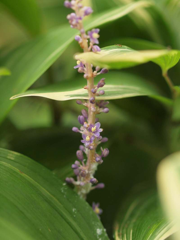 P7230499