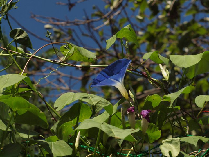 P7240501