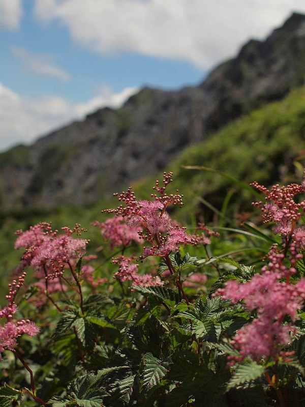 P7250737